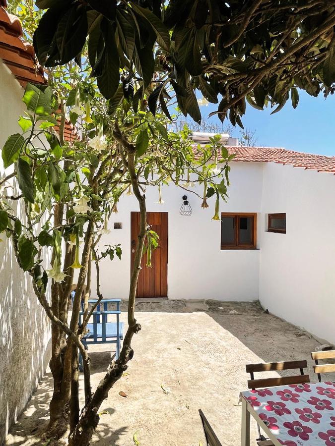 Sao Vicente Holiday home